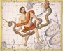 13. Bur�